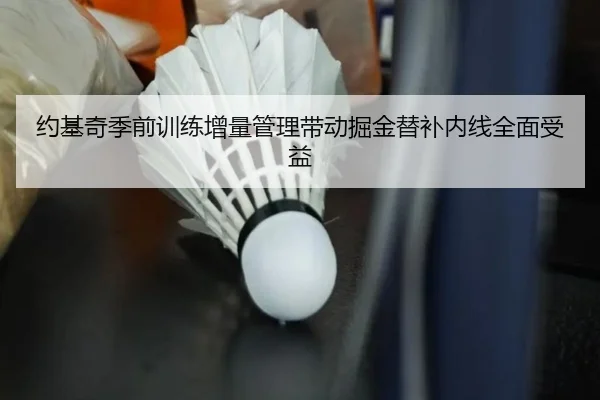 约基奇季前训练增量管理带动掘金替补内线全面受益